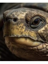 ミナモ(MINAMO) ぴよっ さん