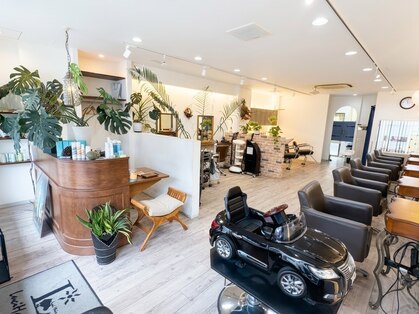 ルーシー ヘア キュア(Ｌｕｃｉ  Ｈａｉｒ  Cu´re )の写真