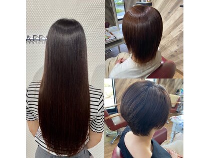 ルネッサンスヘアー ラファエロ(RAFFAELLO)の写真