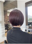 ブリーチなしラベンダーカシスカラー×丸みショート