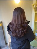 〈浅草 半個室〉アプリコットベージュ