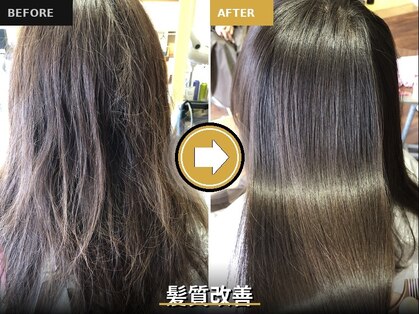 スタッフニュートラルの写真