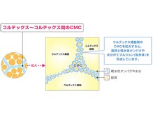 ■前処理/中間処理…CMC（タンパク質と脂質）