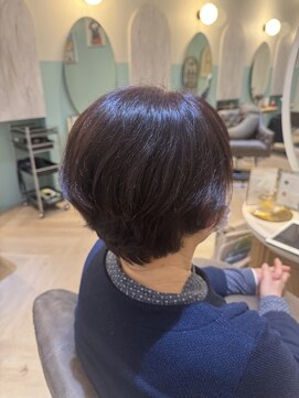 アンフィ 矢向(Anphi) 3-24 ミセスショート