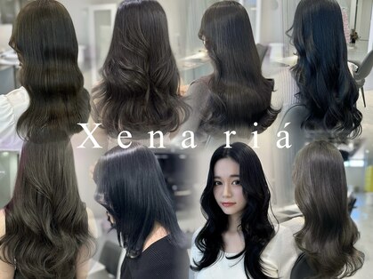 ジーナリア(Xena ria)の写真
