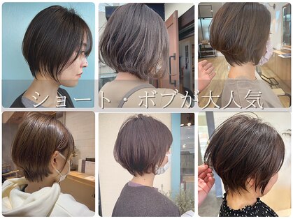 フラワー(flower)の写真