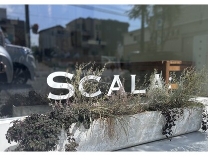 スカラ(SCALA)の写真