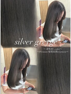ジーナ 池袋(Zina) 赤味消しカラー*silver greyge【nanami】