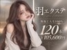 【羽エクステ】ハネエクステ120本 ￥105600
