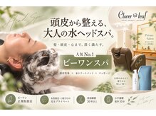 クローバーリーフ(Clover Leaf)