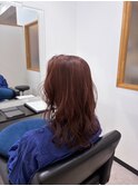 Hair Salon for D　 ×　コーラルカラー