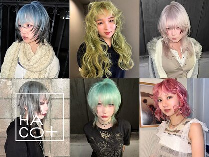 ハコ プラス(HACO+)の写真