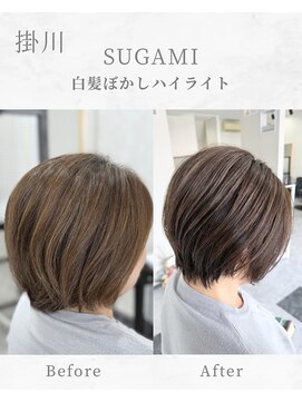 スガミ(SUGAMI) 白髪ぼかしハイライト/脱白髪染め