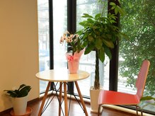 パーソナルサロン リエット(Parsonal Salon LIETTO)の雰囲気（明るい陽射しが差し込み、ゆったり穏やかなひと時を過ごせます♪）