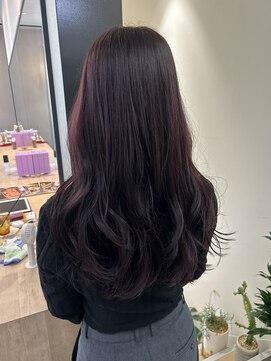 ハブ(hub) 【天神今泉】カシスレッド