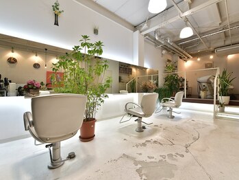 カヒルル(Hair kahi-lulu)の写真/植物に囲まれたリラックス空間で『あなたらしさ』を大切に、ぴったりなスタイルをご提案いたします♪