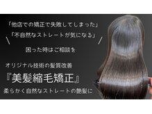 シュヴーブリヤン(cheveux brillants)の雰囲気（他店サロン様で断られても諦めずにご相談ください。）