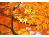秋のイチオシ☆カット＋5種類から選べる旬のカラー＋高分子ケラチンケア