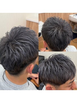 フライ(Fly) シルバーアッシュ