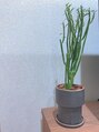 ジジ(JiJI) 観葉植物育てるのが好きです