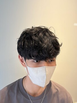 テールバイルシエル(TERRE by Le ciel) 韓国シャドウパーマ/ダウンパーマ/韓国メンズヘア
