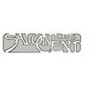 サロン デ サン(Salon des cent)のお店ロゴ
