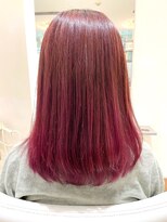 レンジシキチジョウジ (RENJISHI KICHIJOJI)&nbsp;レッドミディ2【RENJISHI】