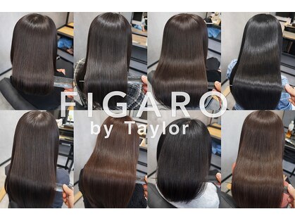 フィガロ バイ テイラー(FIGARO by Taylor)の写真