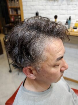 バルビエーレ アーディ(Barbier Adi) グレーヘア