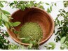 【リタッチ/当店ご利用日から45日以内】ヘナ《植物カラー》