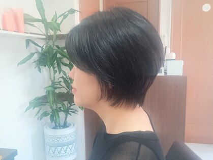 ヴィヴァーチェ(VIVACHE)の写真