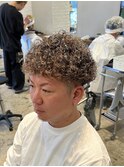 プードルパーマ