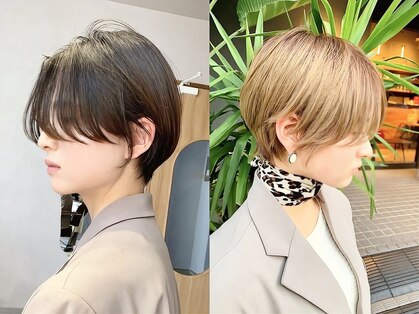 ナンバー 博多(Number)の写真