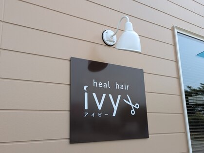 アイビー(ivy)の写真