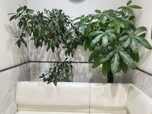 ヘアーアークの雰囲気（ベテランスタイリストがあなたの髪のお悩みを解決します！練馬）