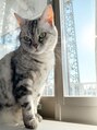 フィー 南越谷2号店(fee) ねこを飼ってます♪