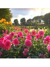 リコント(Re:cont) Inayama