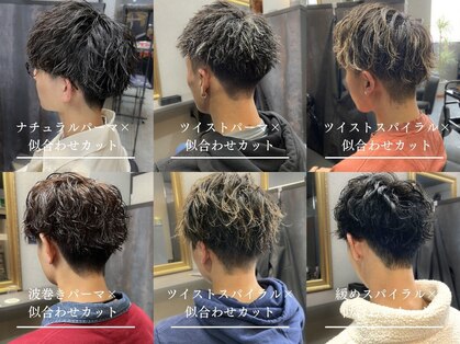 デネブ(Deneb)の写真