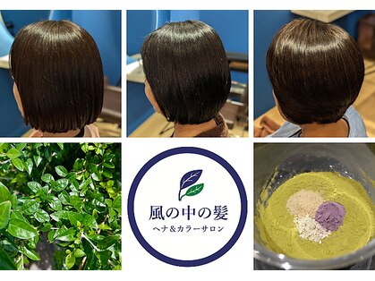 風の中の髪の写真