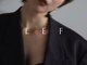 レフ(LEF)の写真