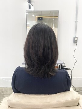 パル(PAL) レイヤー