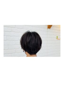 ディアフレンズ モフモフ(Dear Friends) ハンサムショート