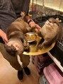 シー 浜松大平台店(She) カワウソが大好きです。