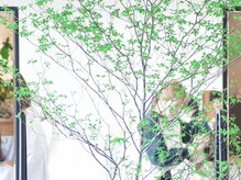 ラポール(Rapport)の雰囲気(こだわりのある空間で、リラックスしてください。)