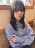 レイヤーカット/サイドバング／ナチュラル