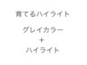 お試し『育てるハイライト』ホイル６枚＋白髪染め+カット　¥11000