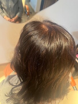 ロハスサロン(LOHAS SALON) 輝髪ペインター