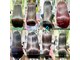 アドナインス(Add9)の写真