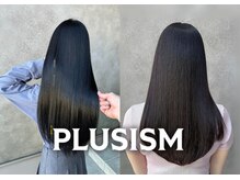 プラスイズム(PLUSISM)