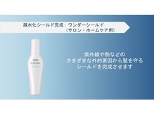 お仕上げ・ワンダーシールド